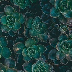 Meet your Posher, Mae